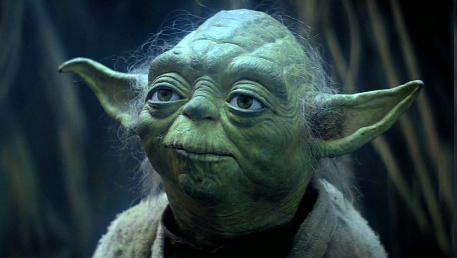 Best Grooming Tips - Yoda