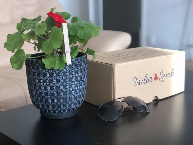 Tailor Lamb MTM Shirts Box