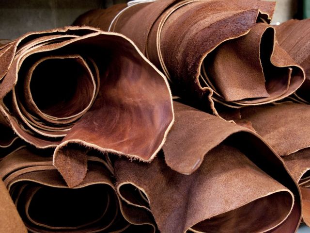 Types of Shoe Leather