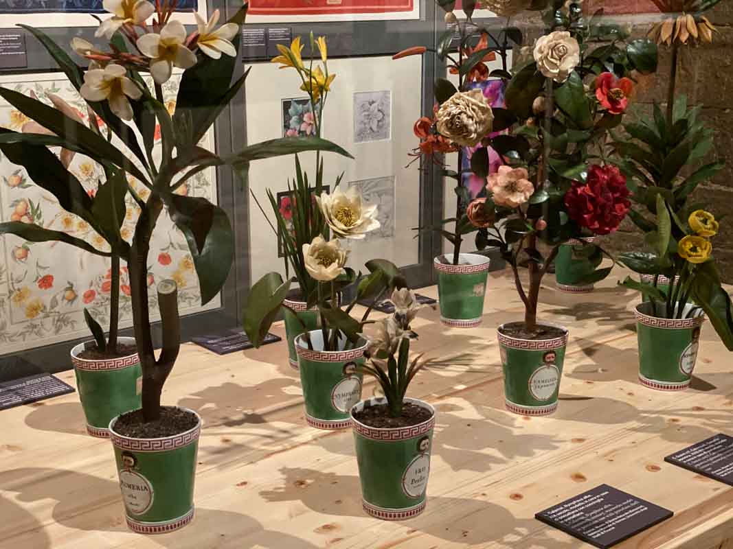 Vintage Plants and Vases